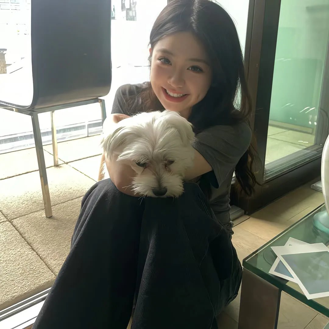 失踪者搜寻组消失的真相